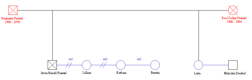 Gene6.GIF (5372 bytes)